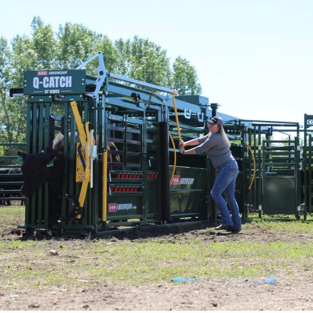 8718 catch cow female