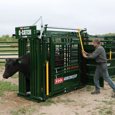 Immobilisation d'une vache dans une cage de contention pour bovins de la série Q-Catch 54.