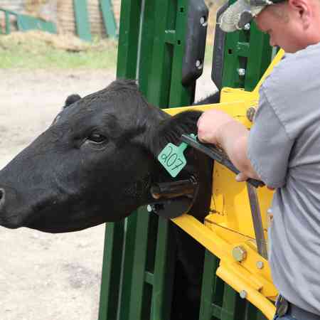 Head Holder Tag