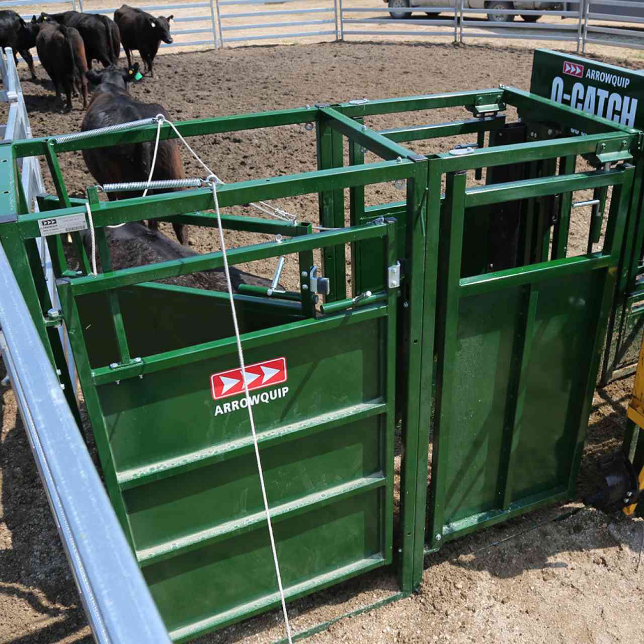 Above image of cattle sorting gate