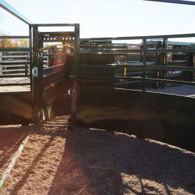 3E System in Cattle Crowding Tub