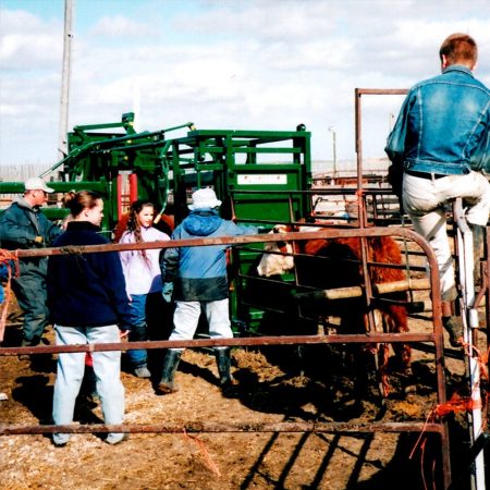 Testing old chute